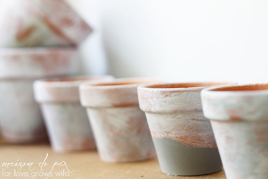 Create your own aged patina on terra cotta pots with this simple tutorial at LoveGrowsWild.com