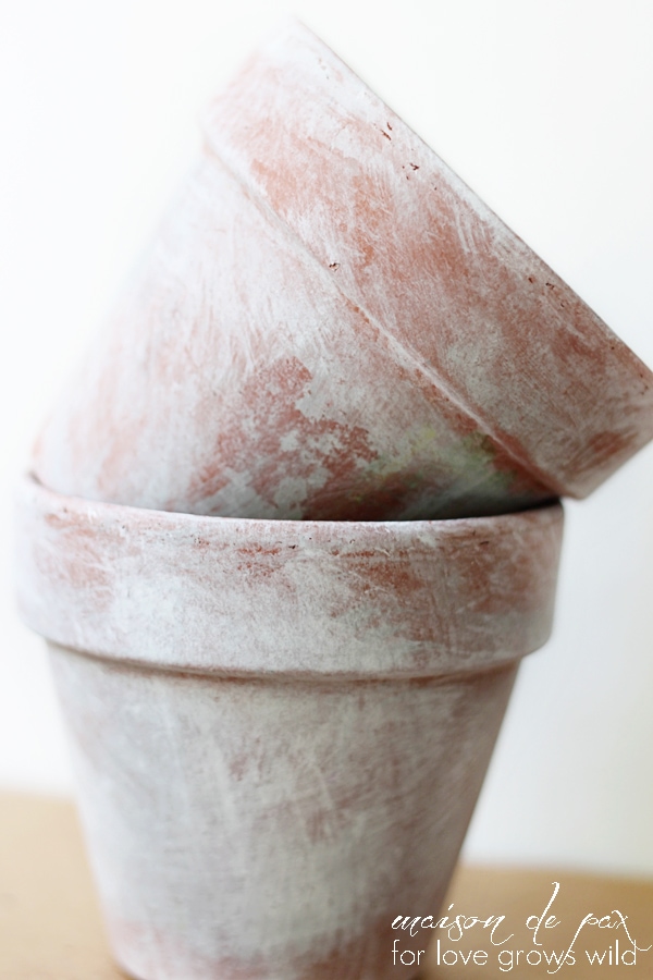 Create your own aged patina on terra cotta pots with this simple tutorial at LoveGrowsWild.com