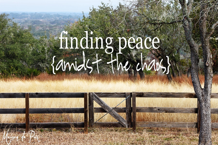 Peace amidst Chaos
