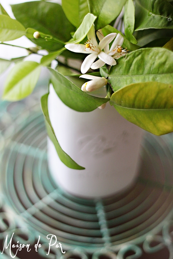 Ideas for bringing simple, fragrant greenery into your home to celebrate spring at www.maisondepax.com