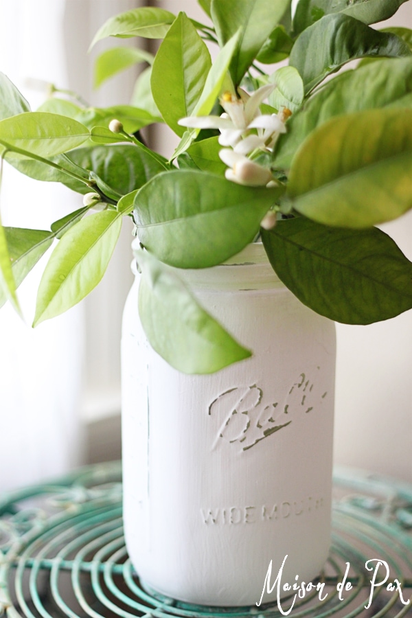Ideas for bringing simple, fragrant greenery into your home to celebrate spring at www.maisondepax.com