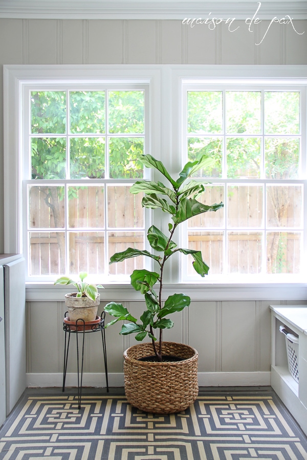 Indoor plant ideas- Maison de Pax
