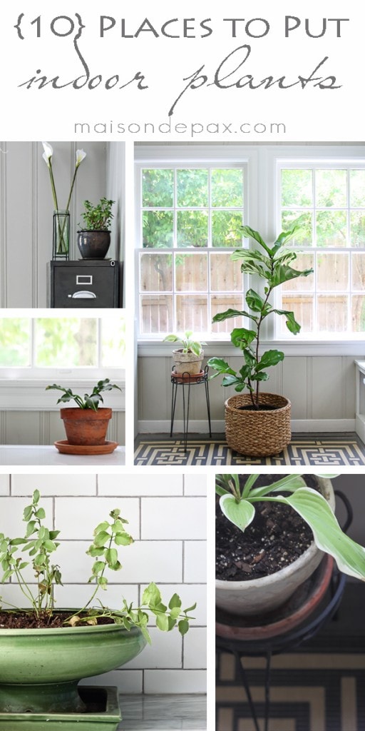click for 10 ideas of places to put indoor plants! via maisondepax.com