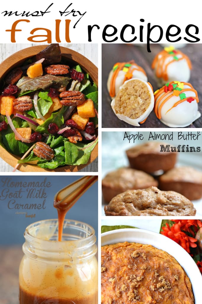 From butternut squash salad to rich, cinnamon caramel sauce, these fall recipes are sure to please.  via maisondepax.com #fall #recipe #thanksgiving