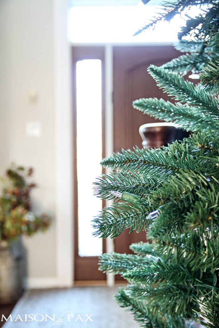 Tips for choosing the perfect tree: affordable and lovely | maisondepax.com