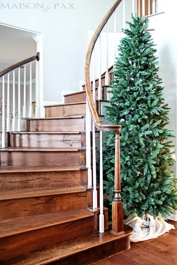 How to Pick the Perfect Christmas Tree - Maison de Pax