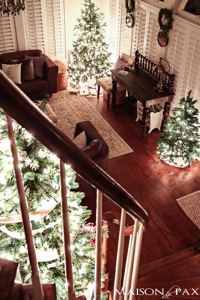 small, medium, and large Christmas trees all in a gorgeous living room