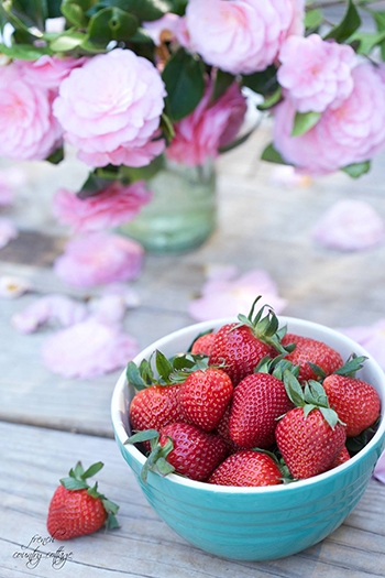 french country strawberries and flowers