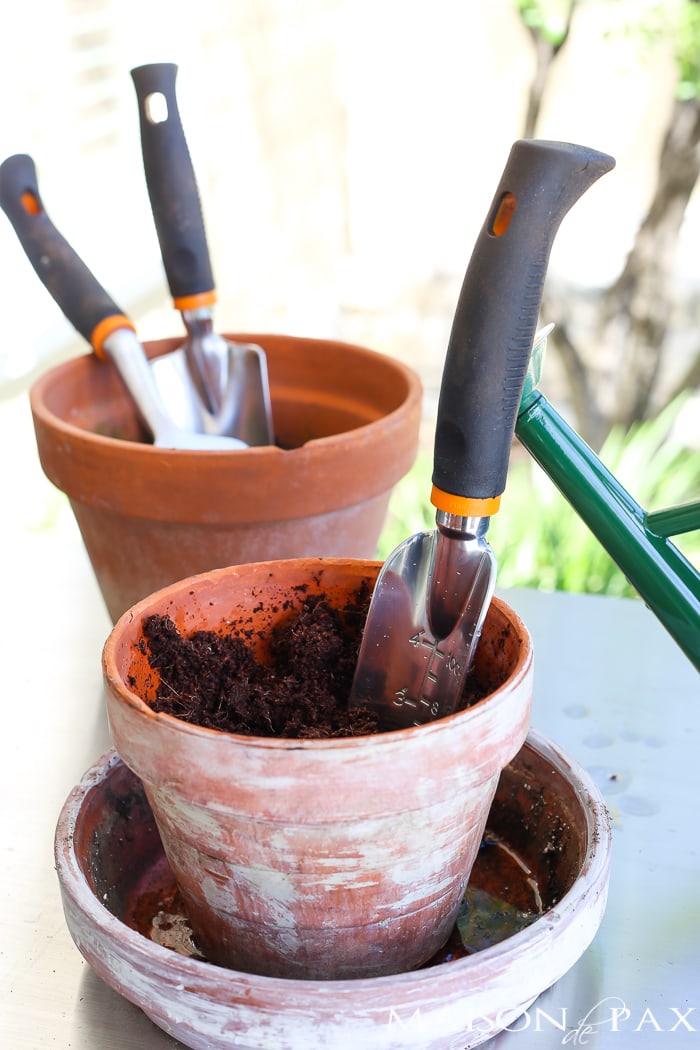 Five Best Basic Gardening Tools (available on Amazon!): Looking to develop that green thumb? You won't want to miss these useful gardening tools and products for all your gardening projects.