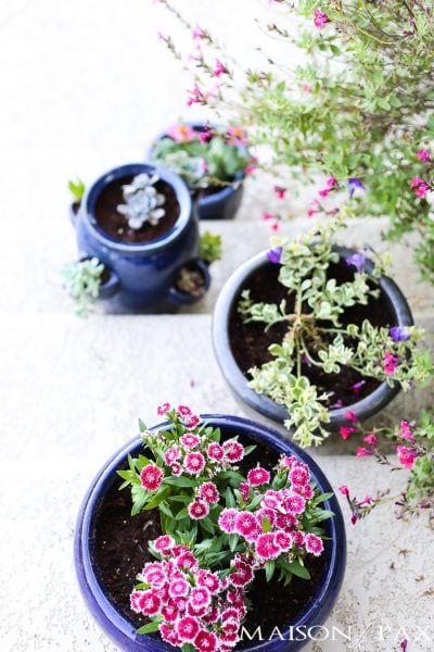Tips for Creating Pretty Potted Plants: One of the easiest ways to spruce up any outdoor space or update your curb appeal is with beautiful potted plants. Porch and patio planters are easy, and these tips and inspiration will help you make them beautiful! #curbappeal #pottedplants #patioplanters #patioinspiration