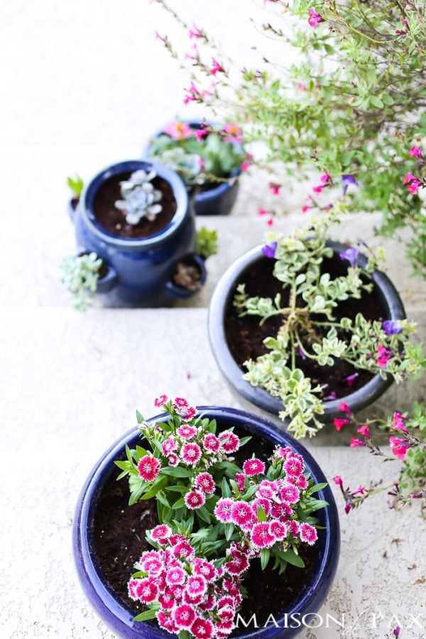 Porch Planter Ideas and Inspiration - Maison de Pax