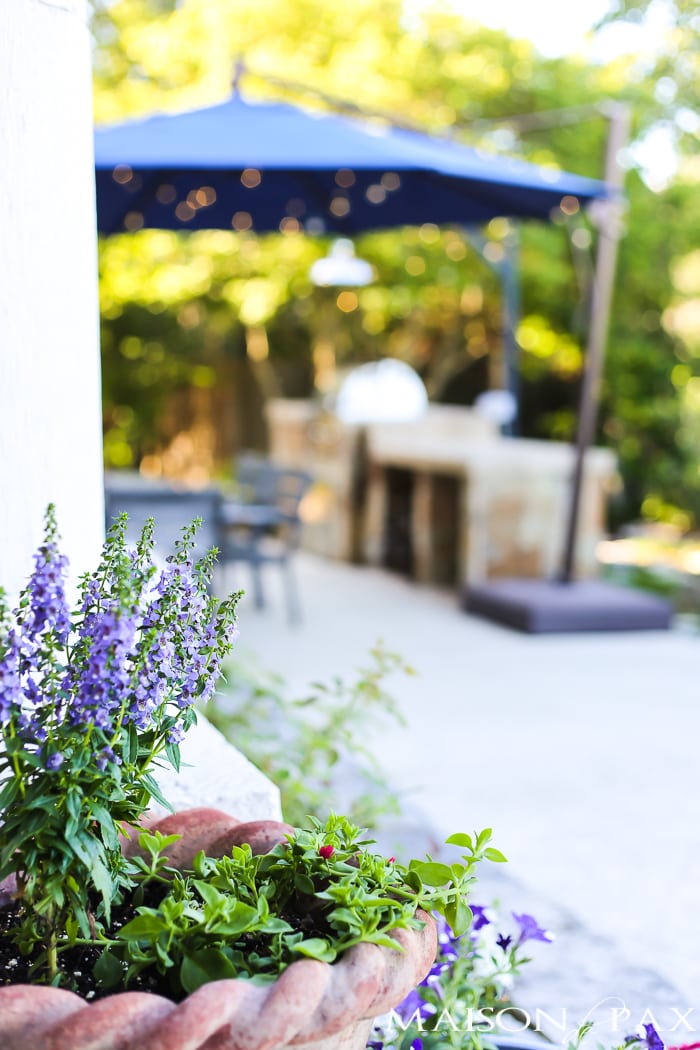 Tips for Creating Pretty Potted Plants: One of the easiest ways to spruce up any outdoor space is with beautiful potted plants. Don't miss these tips for planning, designing, planting, and caring for beautiful, healthy plants!