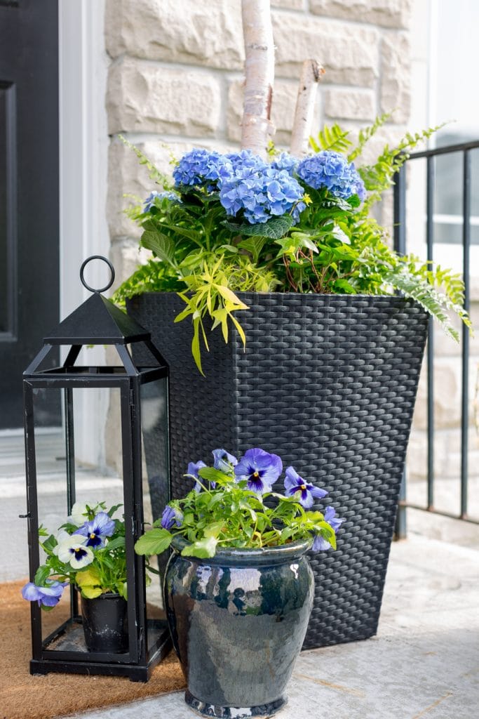 Hydrangea porch pots- Maison de Pax