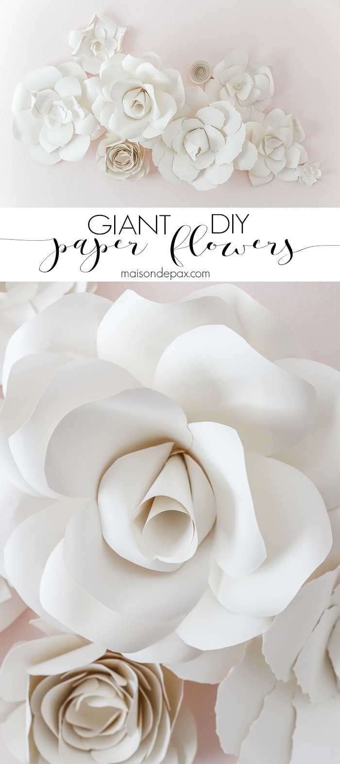 Diy Giant Paper Flowers Tutorial Maison De Pax