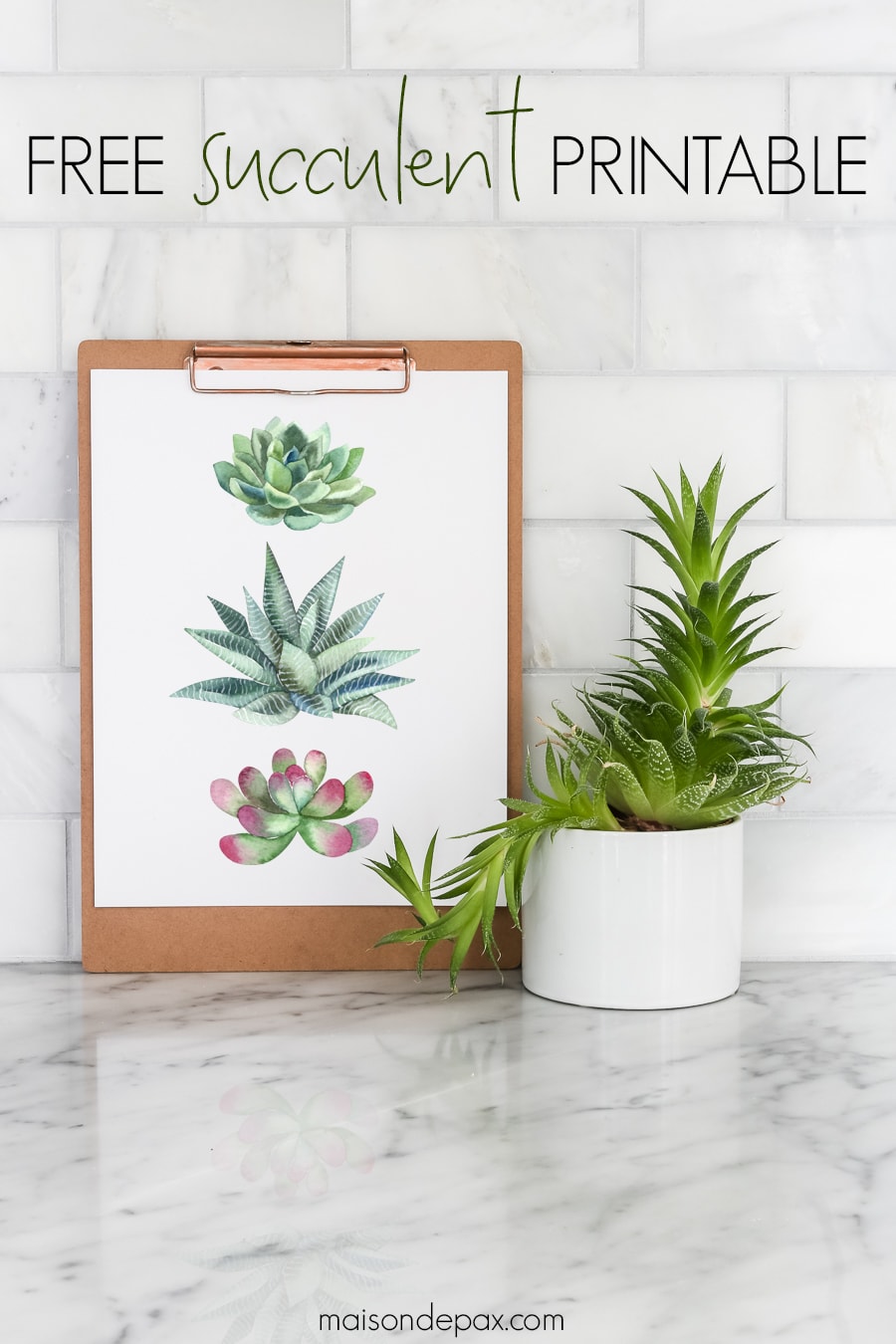 Free succulent printable art: Print this succulent wall art to decorate your space for summer! #freeprintable #printableart #succulent #wallart #succulentart #watercolor #printable #printablewatercolor #summerdecor