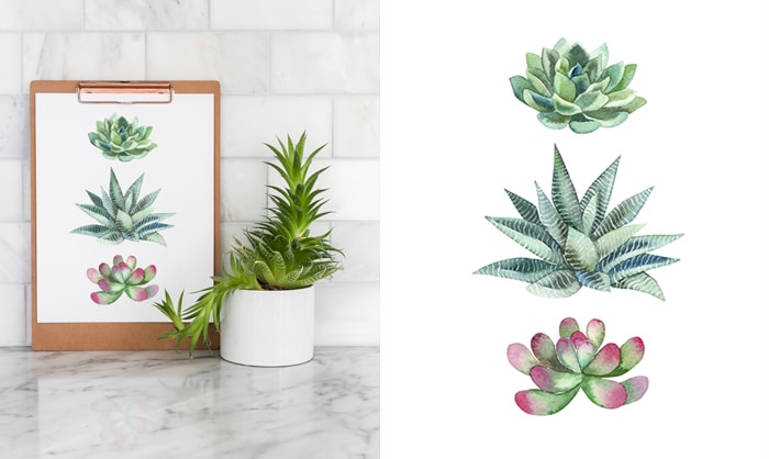 free summer printable: succulent wall art