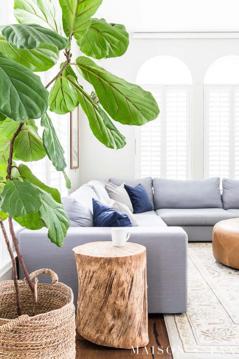 Gray Living Room with Simple Fall Decor - Maison de Pax