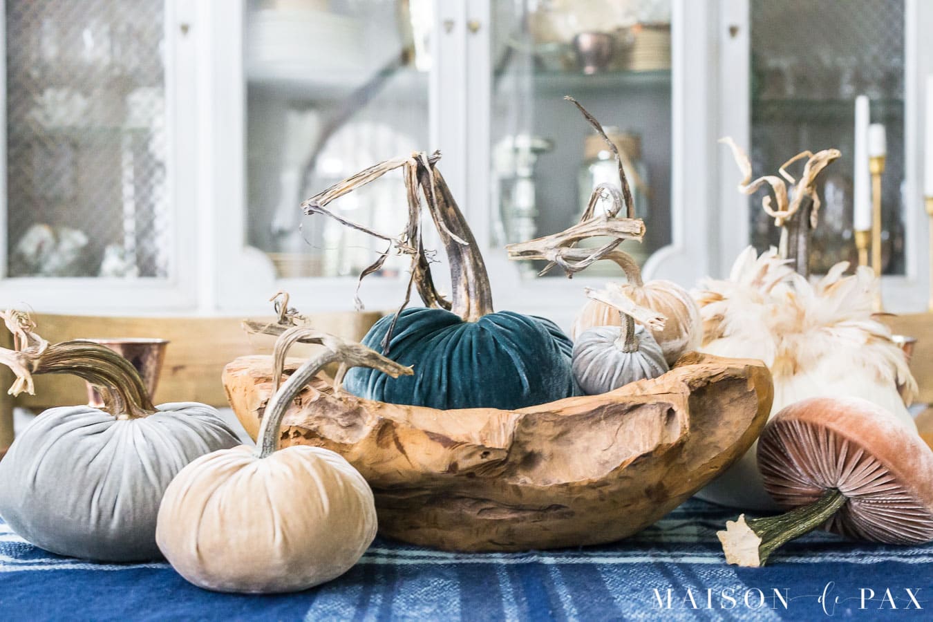velvet pumpkins and mushroom with real stems