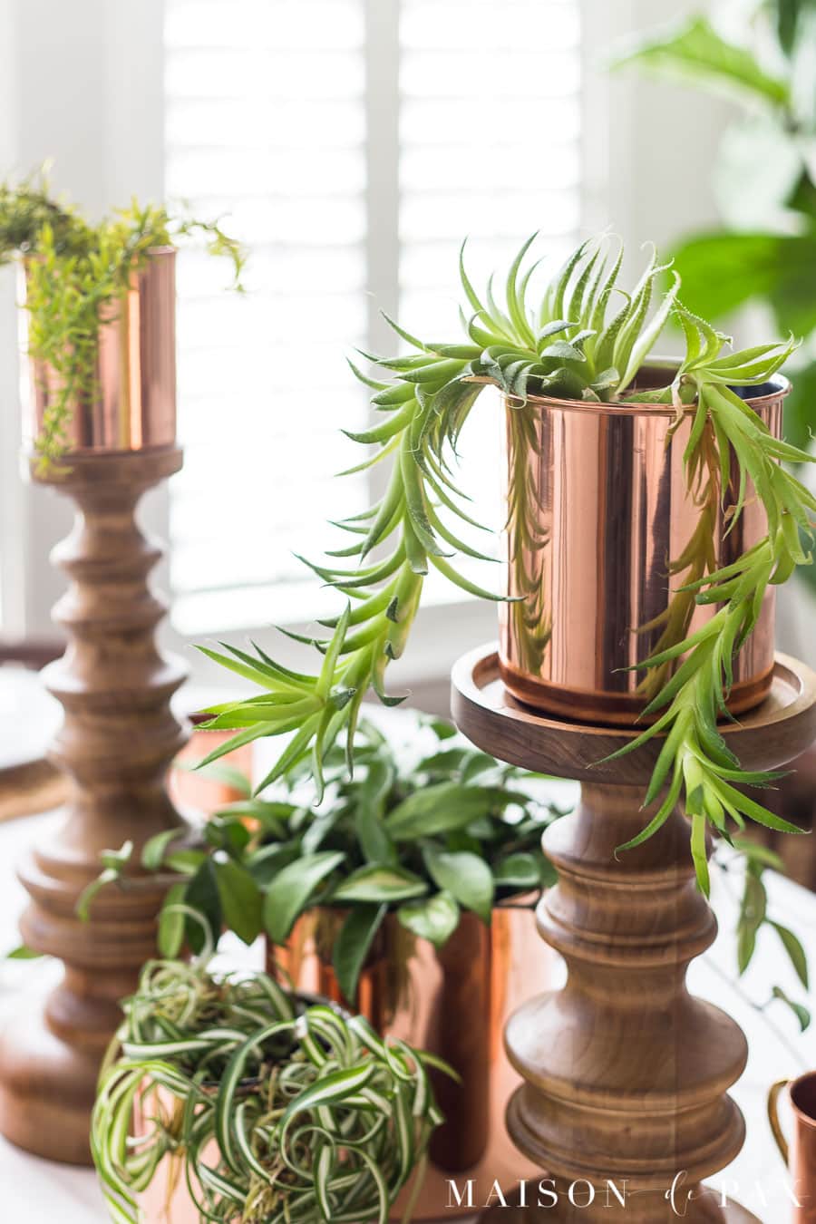 succulents, canisters, and candlesticks for a spring centerpiece | Maison de Pax