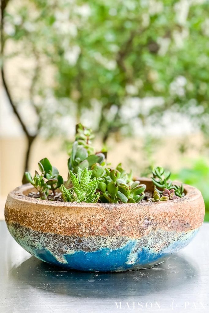 glazed turquoise pot with low bowl shape filled with small succulents | Maison de Pax