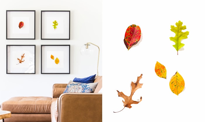 printable fall leaves wall art