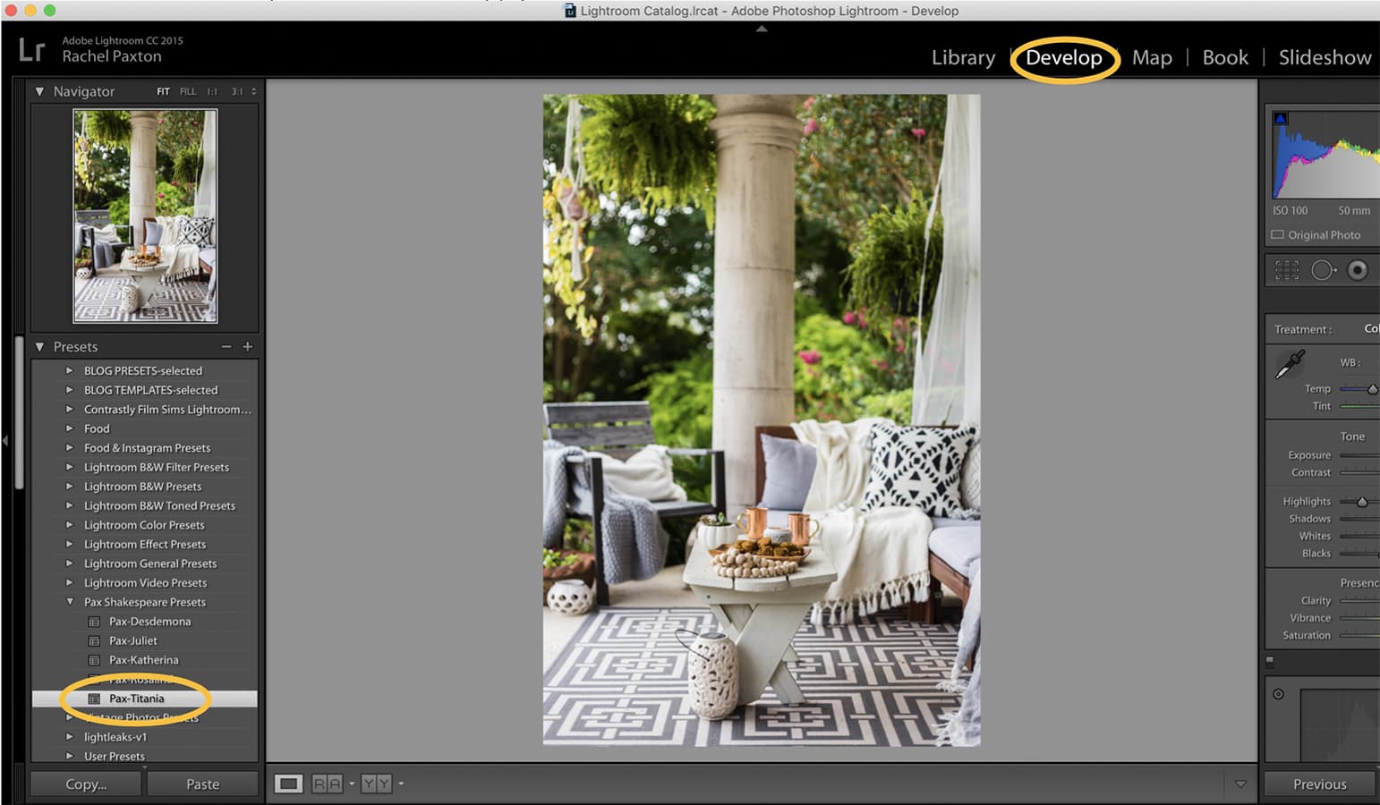 Screenshot for Lightroom Classic desktop applying presets