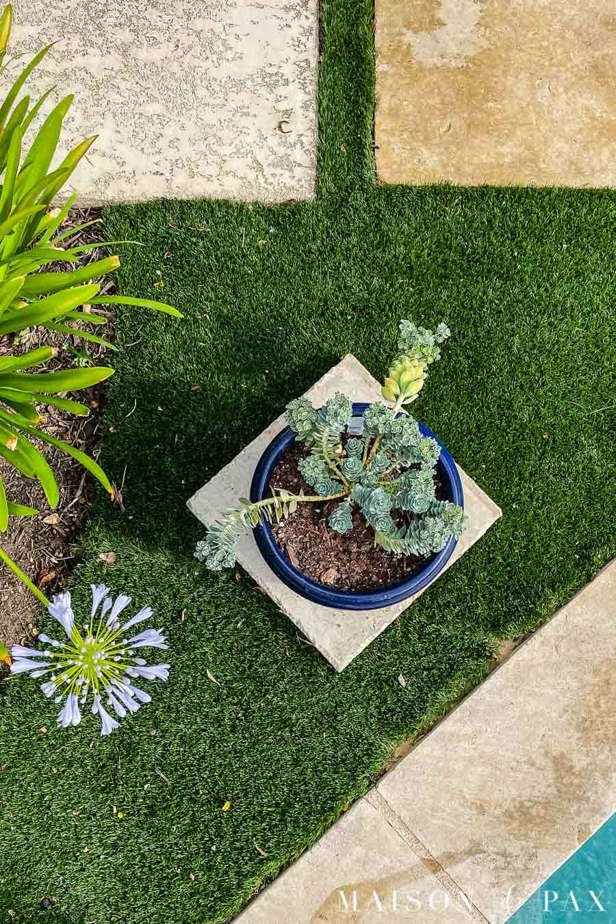 DIY artificial turf and stepping stones