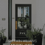 Sherwin Williams Iron Ore front door on white brick exterior with black planters and brass hardware